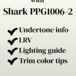Thinking About Painting with Shark PPG1006-2 - Pinterest graphic
