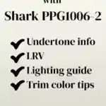 Thinking About Painting with Shark PPG1006-2 - Pinterest graphic