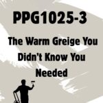 Whiskers PPG1025-3 The Warm Greige You Didn’t Know You Needed - pinterest graphic