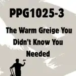 Whiskers PPG1025-3 The Warm Greige You Didn’t Know You Needed - pinterest graphic