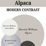 paint color that go with Alpaca -Modern Contrast