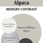 paint color that go with Alpaca -Modern Contrast