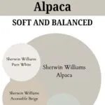 paint color that go with Alpaca -Soft and Balanced