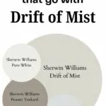 paint color that go with Drift of Mist - pinterest graphic