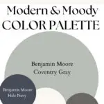 BM Coventry Gray Modern & Moody paint Color Palette - Pinterest graphic