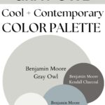BM Gray Owl Cool Contemporary paint Color Palette - Pinterest graphic
