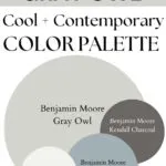 BM Gray Owl Cool Contemporary paint Color Palette - Pinterest graphic