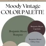 BM Rosepine Moody Vintage paint Color Palette - Pinterest graphic