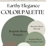 BM Rosepine paint Color Palette - Pinterest graphic