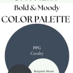 PPG Cavalry Bold & Moody paint Color Palette