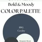 PPG Cavalry Bold & Moody paint Color Palette