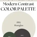 PPG Hourglass modern contrast paint Color Palette - Pinterest graphic