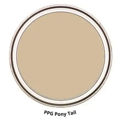 PPG Pony Tail neutral paint color