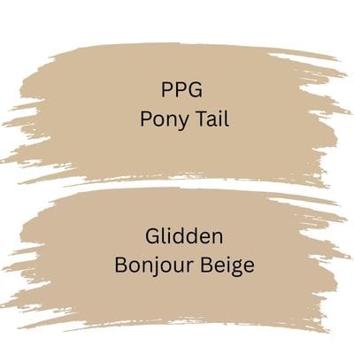PPG Pony Tail color comparison digital swatches