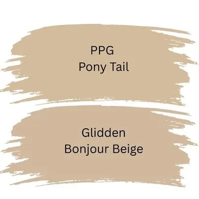 PPG Pony Tail color comparison digital swatches