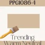 PPG Pony Tail neutral paint color- pinterest graphic