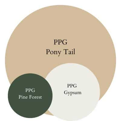 Pony Tail Earthy & Relaxed paint Color Palette - Pinterest graphic