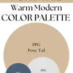 Pony Tail Warm Modern paint Color Palette - Pinterest graphic