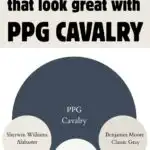 trim color that look great with PPG Cavalry - Pinterest graphic