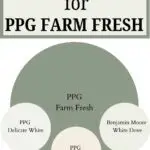 trim color sthat look great with PPG Cavalry - Pinterest graphic