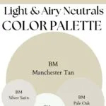 BM Manchester tan Light & Airy Neutrals paint Color Palette - Pinterest graphic