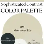 BM Manchester tan Sophisticated Contrast paint Color Palette - Pinterest graphic