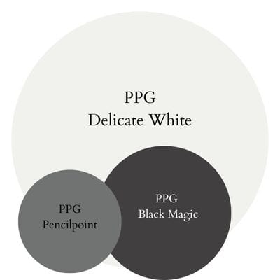 PPG Delicate Bold Modern paint Color Palette - Pinterest graphic