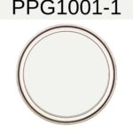 PPG Delicate WHite - A totally underrated neutral paint color- pinterest graphic
