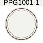 PPG Delicate WHite - A totally underrated neutral paint color- pinterest graphic