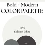 PPG Delicate White Bold Modern paint Color Palette - Pinterest graphic