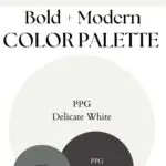 PPG Delicate White Bold Modern paint Color Palette - Pinterest graphic