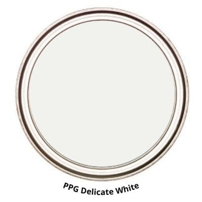 PPG Delicate White Digital Paint Can swatch