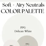 PPG Delicate White Soft Airy Neutrals paint Color Palette - Pinterest graphic