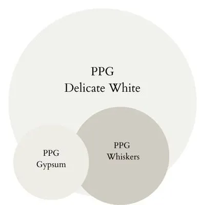 PPG Delicate White Soft Airy Neutrals paint Color Palette - Pinterest graphic