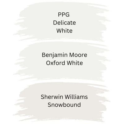 PPG Delicate White color comparison digital swatches