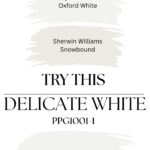 PPG Delicate White - similar paint colors - Pinterest Graphic