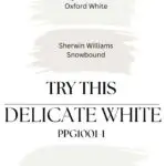 PPG Delicate White - similar paint colors - Pinterest Graphic