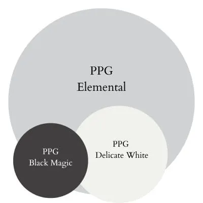 PPG Elemental Modern Contrast paint Color Palette - Pinterest graphic