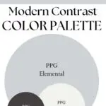 PPG Elemental Modern Contrast paint Color Palette - Pinterest graphic