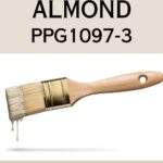 PPG Toasted Almond paint color review - pinterest graphic