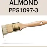 PPG Toasted Almond paint color review - pinterest graphic