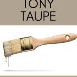 SW Tony Taupe taupe paint color - pinterest graphic