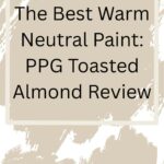 The Best Warm Neutral Paint PPG Toasted Almond Review