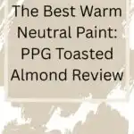 The Best Warm Neutral Paint PPG Toasted Almond Review