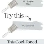 This cool toned Paint Color may Surprise You - pinterest graphic