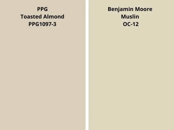 ppg Toasted Almond vs BM Muslin (OC-12) color comparison digital swatch 