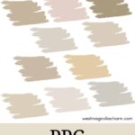PPG Beige Paint Colors - Pinterest Graphic