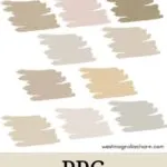 PPG Beige Paint Colors - Pinterest Graphic