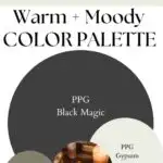 PPG Black Magic Warm & Moody paint Color Palette - Pinterest graphic