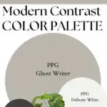 PPG Ghost Writer Modern Contrast Palette paint Color Palette - Pinterest graphic